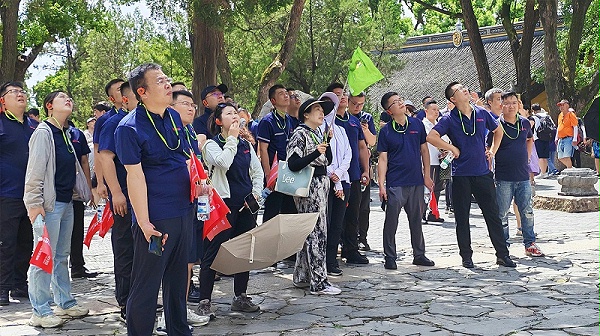 游2